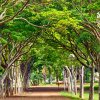 Jardins da Reitoria